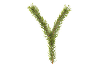 Numbers and letters of the alphabet made of coniferous branches