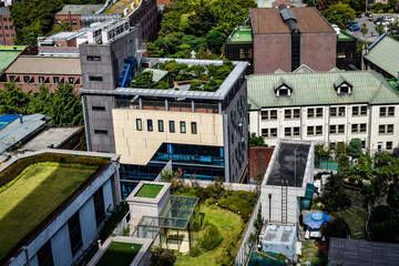 韓国、明洞の景観