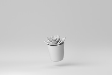 Indoor small plant in a pot on white background. minimal concept. 3D render. - 481198540