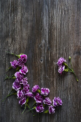 wooden gray textured background with purple small carnations