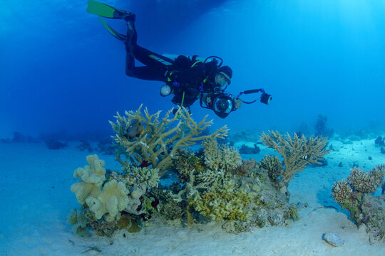 Unrecognizable diver with camera swimming near corals