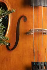 Close up of a cello on Christmas tree background. F hole of a cello.