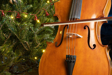 Playing the cello on Christmas tree background.