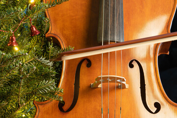 Playing the cello on Christmas tree background.
