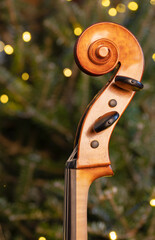 Pegbox of a cello on Christmas tree background.