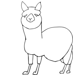Llama outline