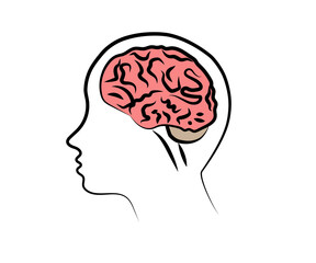 Human brain and head on a white background. Symbol. Vector illustration.