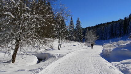 Wanderin im Langenbachtal auf dem Winterwanderweg Haldenköpfle beim Schauinsland