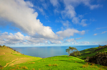 New Zealand hills