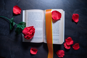 red rose on a book with catalan flag 