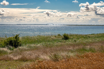 Blick auf den Fehmamrnsund mit der Fehmarnsundbrücke auf der Ostseeinsel Fehmarn im Sommer