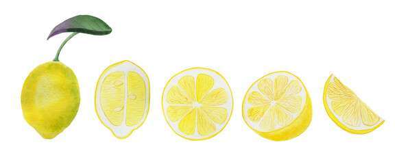 Lemon watercolor set. Illustration of a whole fruit and its half. Hand drawn slices of ripe yellow raw citrus.