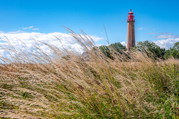 Feldrand mit Getreide und Mohnblumen und dem Leuchtturm von Flügge auf der Ostseeinsel Fehmarn im Sommer mit schönem blauem Himmel