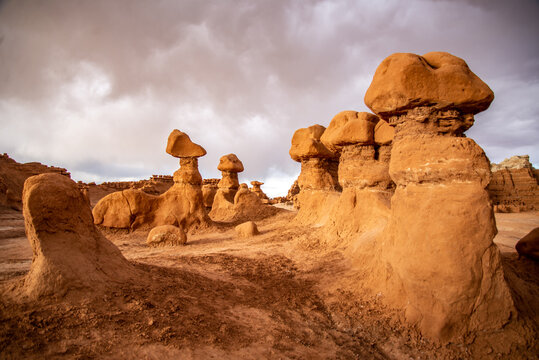 Hoodoo formations, created by sandstone erosion, in a desert landscape in Goblin Valley State Park on a rainy spring day.