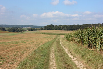 A dirt road through the French agricultural hilly landscape in the French Jura.