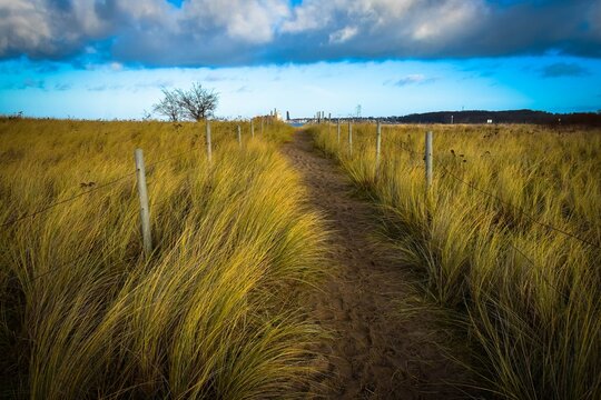 Weg zum Meer, Kieler F&ouml;rde, Ostsee