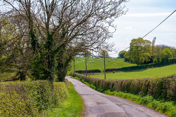 Springtime countryside road in the UK.