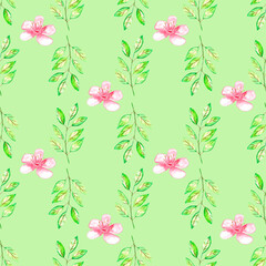 watercolor seamless pattern hand drawing floral element