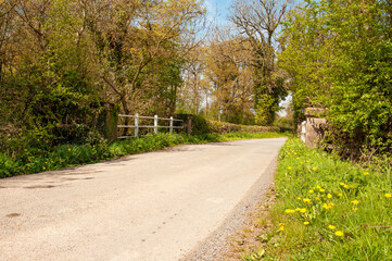 Fototapeta na wymiar Springtime countryside road in the UK.