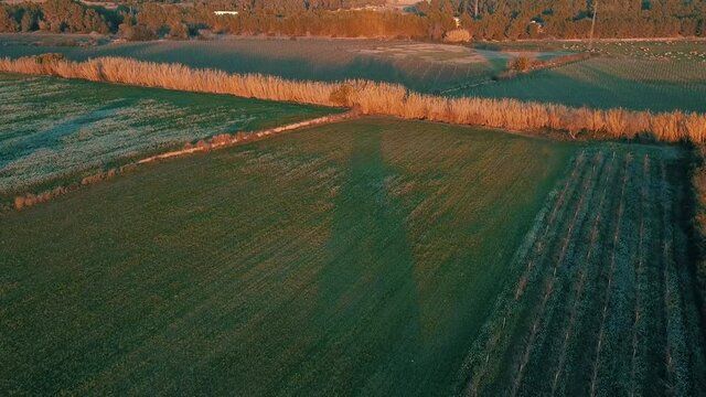 Vista a&eacute;rea con dron de campos de hierba verde y flores blancas cerca de carretera con paso de veh&iacute;culos y las monta&ntilde;as y arboles de fondo.