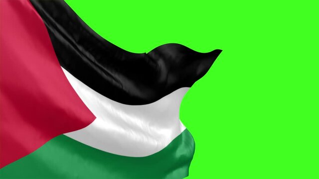 Palestine flag closeup waving animation- Wonderful shiny flag- Sign of Palestine - Palestine Background- 3D render-Slow Motion Animation