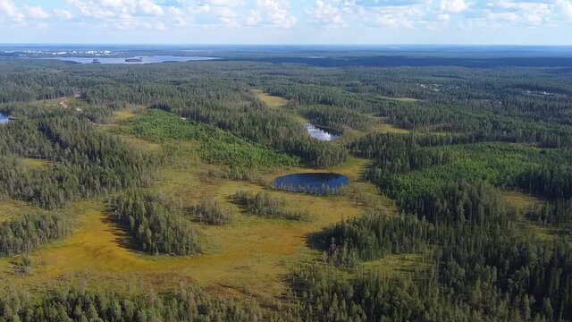 Republic of Karelia, Russia. Beautiful northern nature. River and waterfall. Northwestern Russia. Incredibly beautiful, wild forests of Karelia. The most beautiful waterfall Kumi-threshold. 