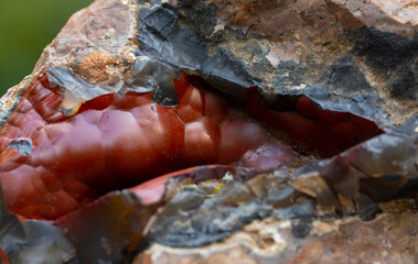 red fox agate mineral specimen stone rock geology gem crystal