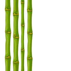 Seamless pattern with green bamboo stems. Decorative exotic plants of tropic jungle.