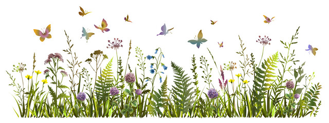 Colorful meadow herbs and flying butterflies. Flowering summer or spring field.