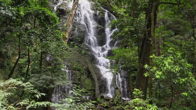 Hidden beautiful jungle waterfall at a rocky wall in the deep rainforest jungle in Rincon de la Vieja, Costa Rica.