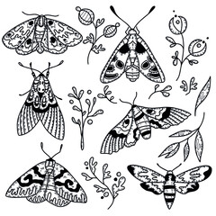 Set of vector elements.
decorative illustration of butterflies and flowers on a white background.