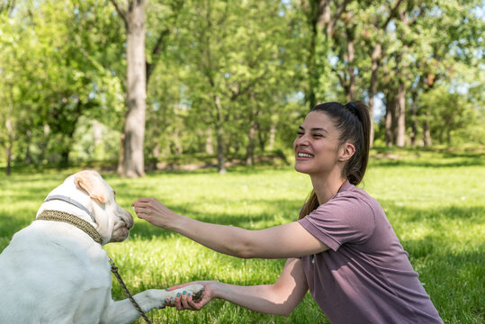 Young happy satisfied business woman taking a day off from work to enjoy with her white Labrador Retriever pet dog. Successful female spending time outdoor with her puppy friend.