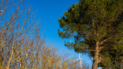 wind blade between trees and moon over blue sky