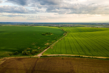 Obraz premium Aerial landscape view of green cultivated agricultural fields with growing crops on bright summer day.