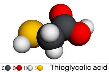 Thioglycolic acid, TGA, mercaptoacetic acid molecule. It is sulfur-containing carboxylic acid, used to make permanent wave solutions, depilatories. Molecular model. 3D rendering