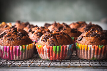 primer plano de muffins de chocolate sobre una rejilla, con espacio en blanco arriba