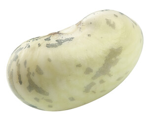 bean, isolated on white background, clipping path, full depth of field