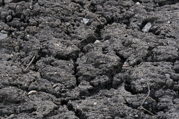 soil in the ground