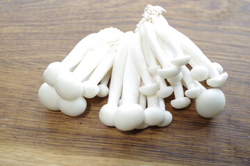 a cluster of white shimeji mushrooms - 481225389