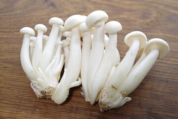 a cluster of white shimeji mushrooms - 481225550