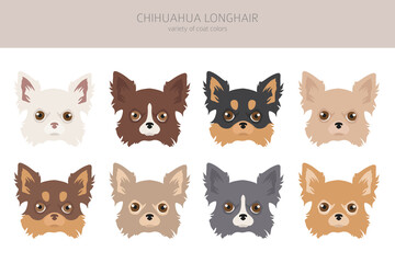 Fototapeta premium Chihuahua dogs clipart. Different coat color
