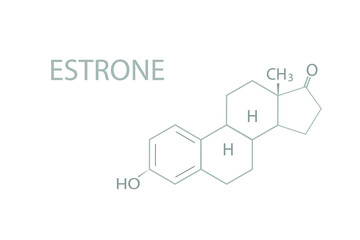 Fototapeta premium Estrone molecular skeletal chemical formula. 