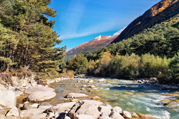mountain river in the forest in autumn in the North Caucasus
