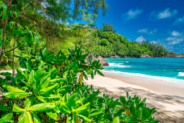 Anse Intendance Beach in Mahe, Seychelles.