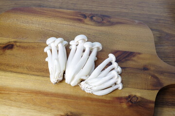 a cluster of white shimeji mushrooms - 481226396