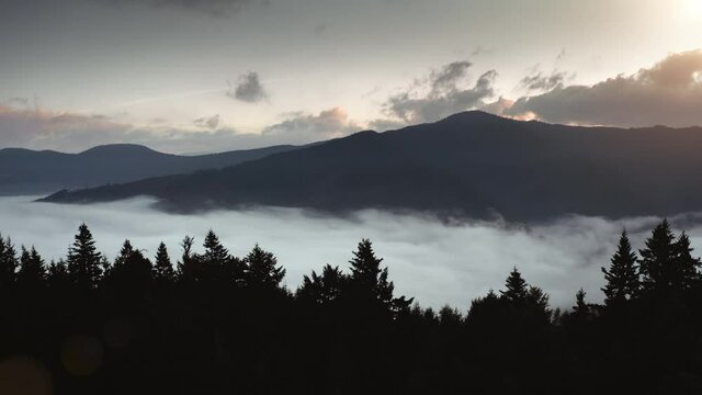 Relax morning mountains scene. Sunrise fog in valley, pine trees forest silhouette, mountain range in soft sun light. Nature background wild landscape. Travel summer vacation. Slow motion drone flight