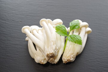 a cluster of white shimeji mushrooms - 481226797