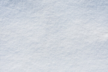 Snow Texture