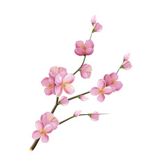 Naklejka na ściany i meble sakura flower branch blossom pink tree. marriage decoration. pink leaf. 3d realistic vector illustration