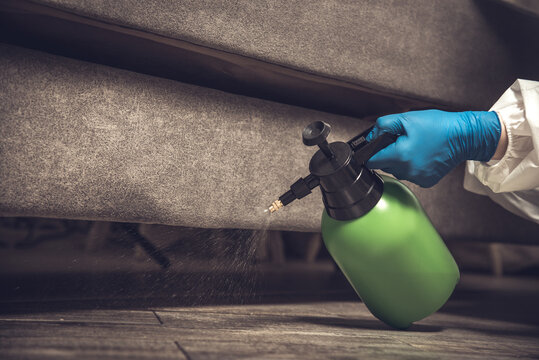 Spray gun with pesticides close-up. An exterminator in work clothes sprays pesticides from a spray bottle. Fight against insects in apartments and houses. Disinsection of premises